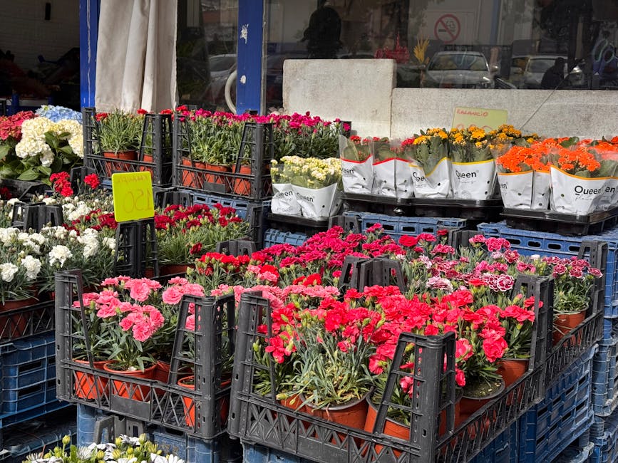 A display of potted flowering plants arranged on black plastic crates outside a flower shop, featuring bright pink, white, red, orange, and yellow blooms. The plants are in terracotta pots wrapped wit